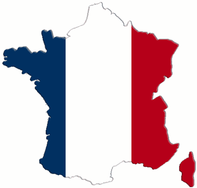Francia, esito delle primarie di sinistra