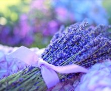 Cos’è e come funziona l’aromaterapia